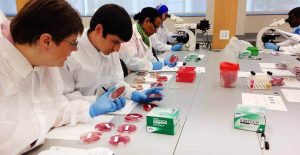 Public Health Schools - Requirements, Curriculum & Top Schools