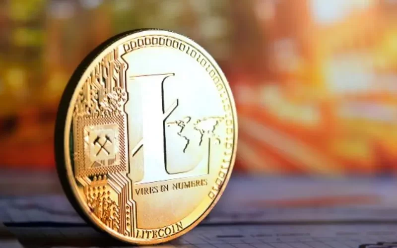 Investing in Litecoin: Strategies, Risks, and Potential Rewards